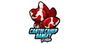 OZ Discus - Network - Partners - Cantik Cakep Banget Goldfish