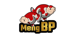OZ Discus - Network - Partners - Meng BP - Small