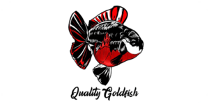 OZ Discus - Network - Partners - Quality Goldfish