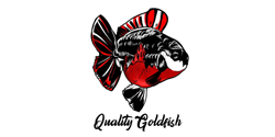 OZ Discus - Network - Partners - Quality Goldfish - Small