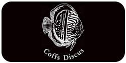 OZ Discus - Network - Partners - Coffs Discus - Small