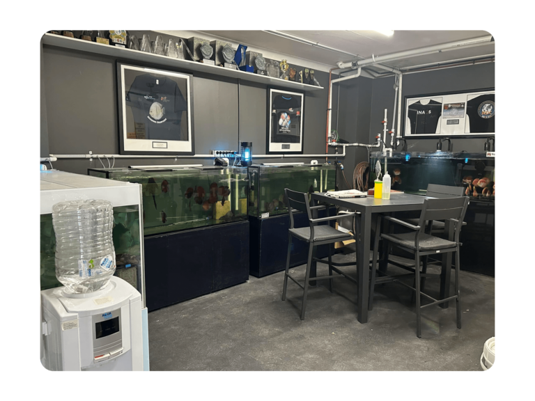 OZ Discus Club Room 2000x1500 2