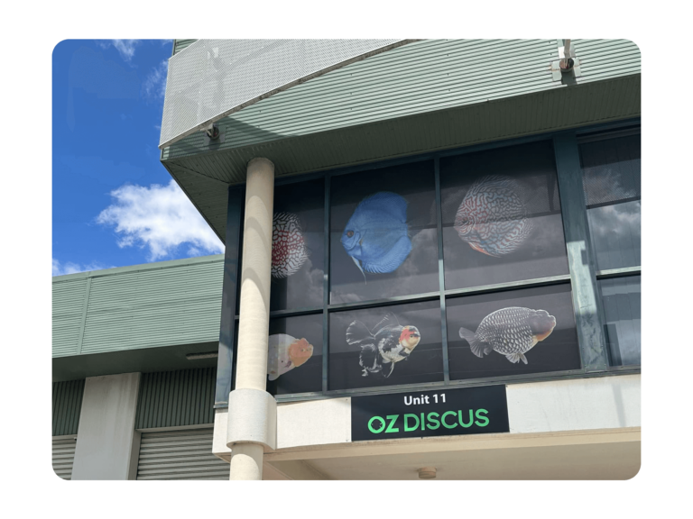 OZ Discus Girraween Signage 2000x1500 2