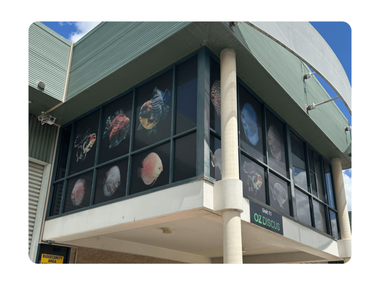 OZ Discus Girraween Store 2000x1500 2
